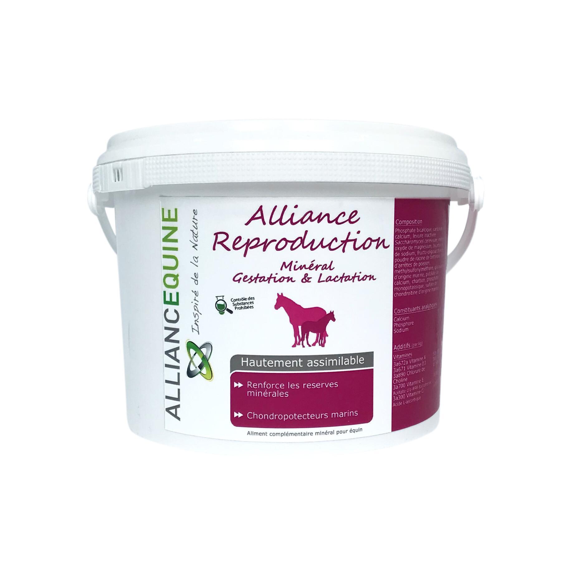 Complément alimentaire minéral pour jument Alliance Equine Alliance Reproduction