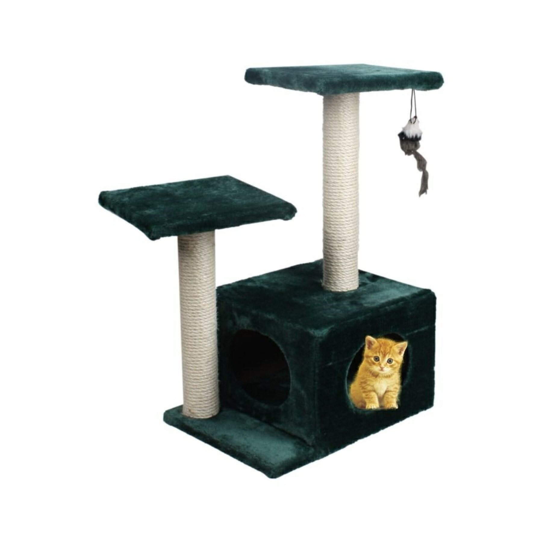 Griffoir pour chat avec 2 tours et une cabine BUBU Pets