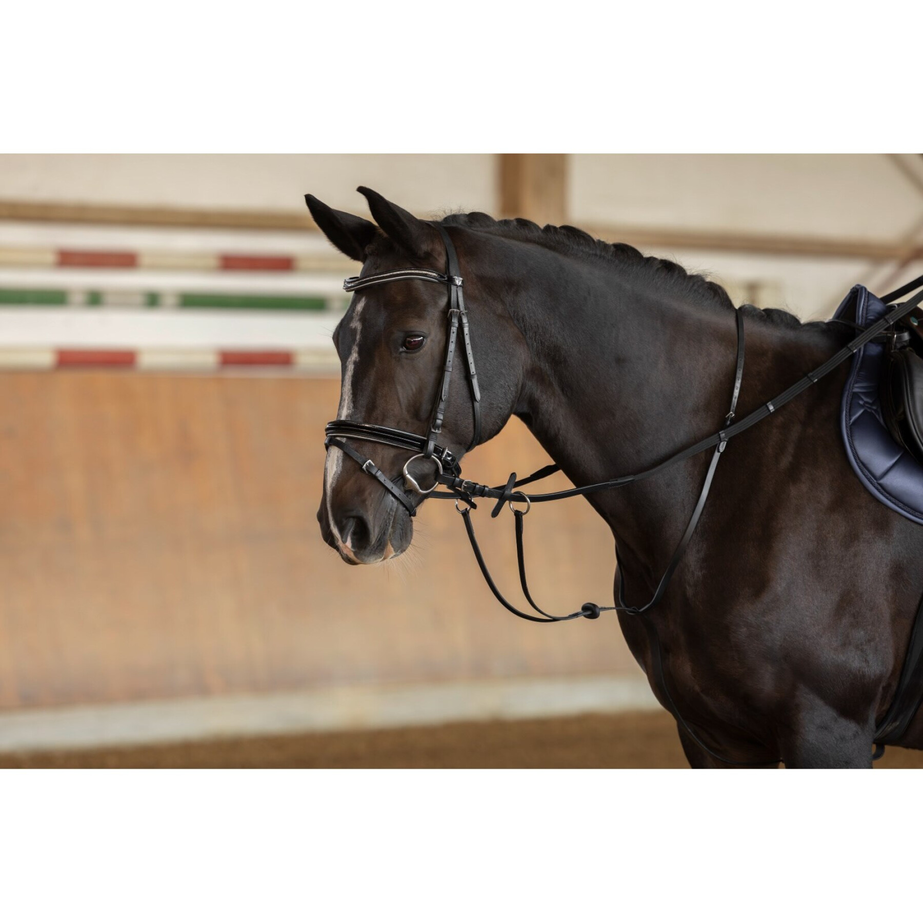 Martingale à anneaux en cuir pour cheval Covalliero