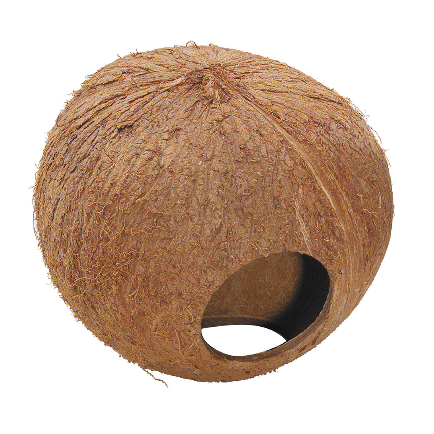 Abri pour rongeurs Ebi Coconut Globehouse