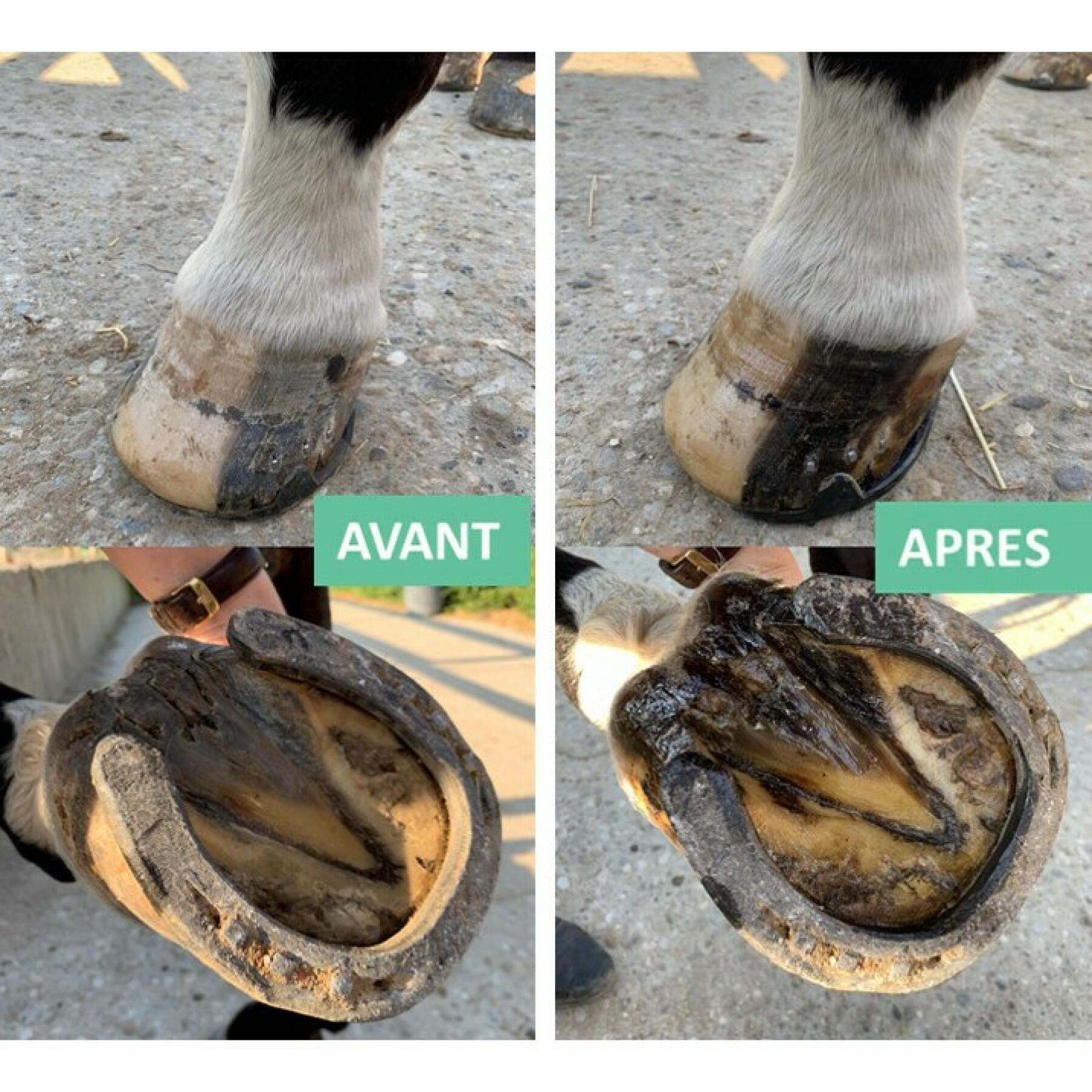 Onguent sabot pour terrain humide à seau pour cheval Ekin - Soin des sabots  - Soins et Pansage - Cheval