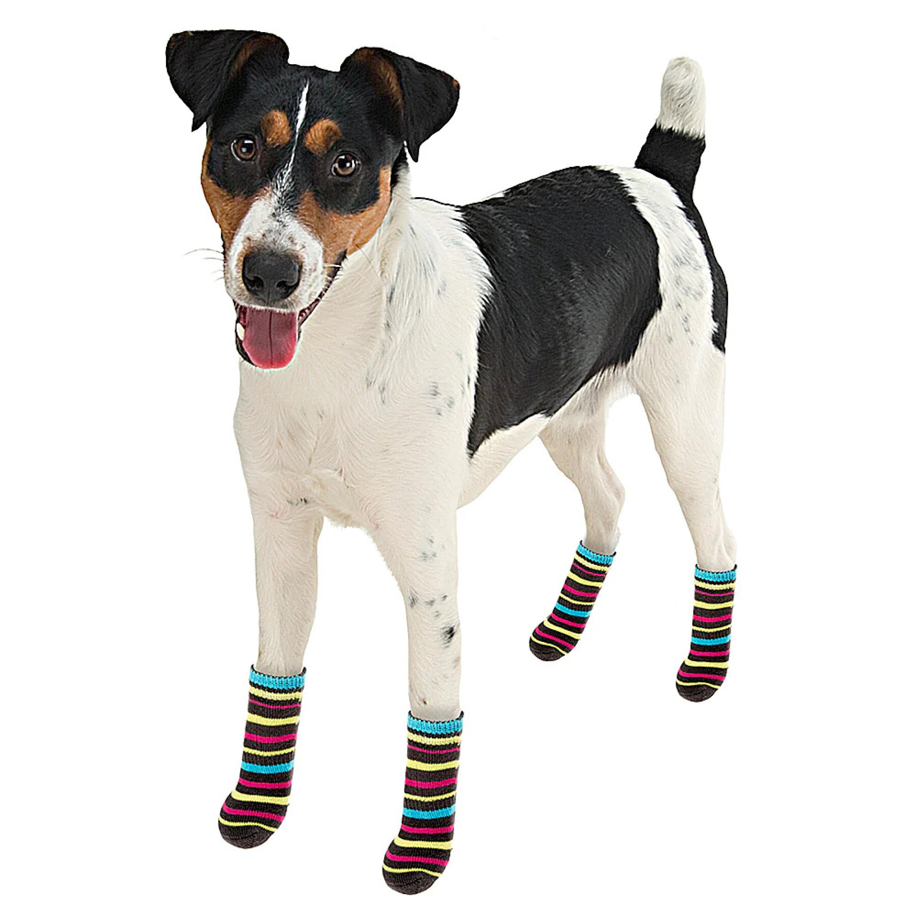 Chaussettes pour chien Ferplast Pet