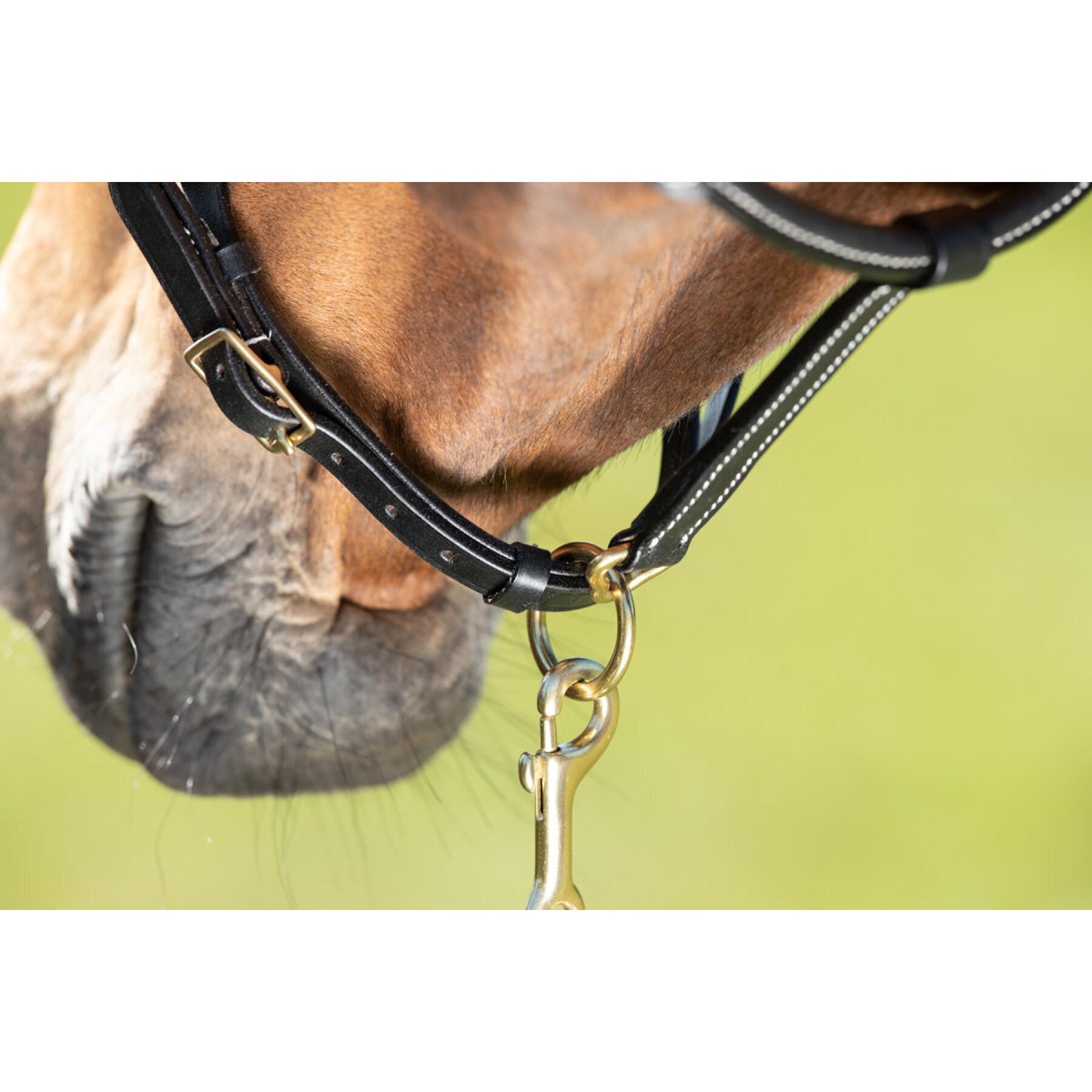 Licol cuir coutures creme pour cheval HFI