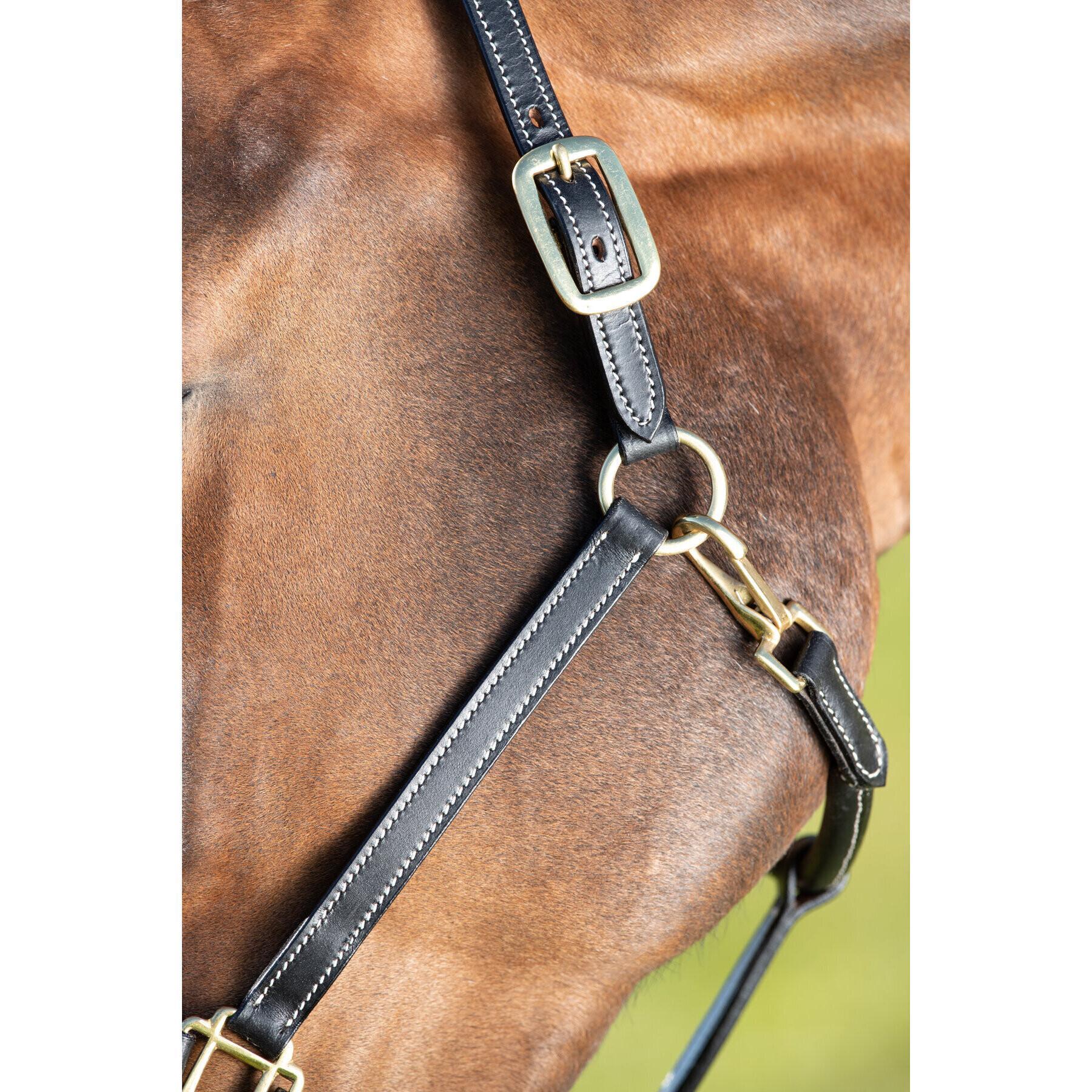 Licol cuir coutures creme pour cheval HFI