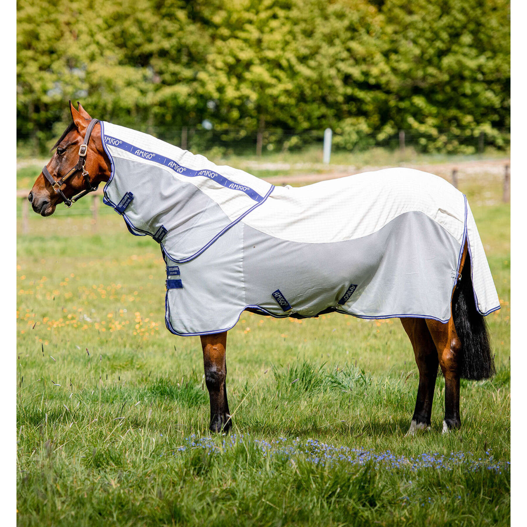 Couverture anti-mouches et UV pour cheval  Horseware Amigo Airflow