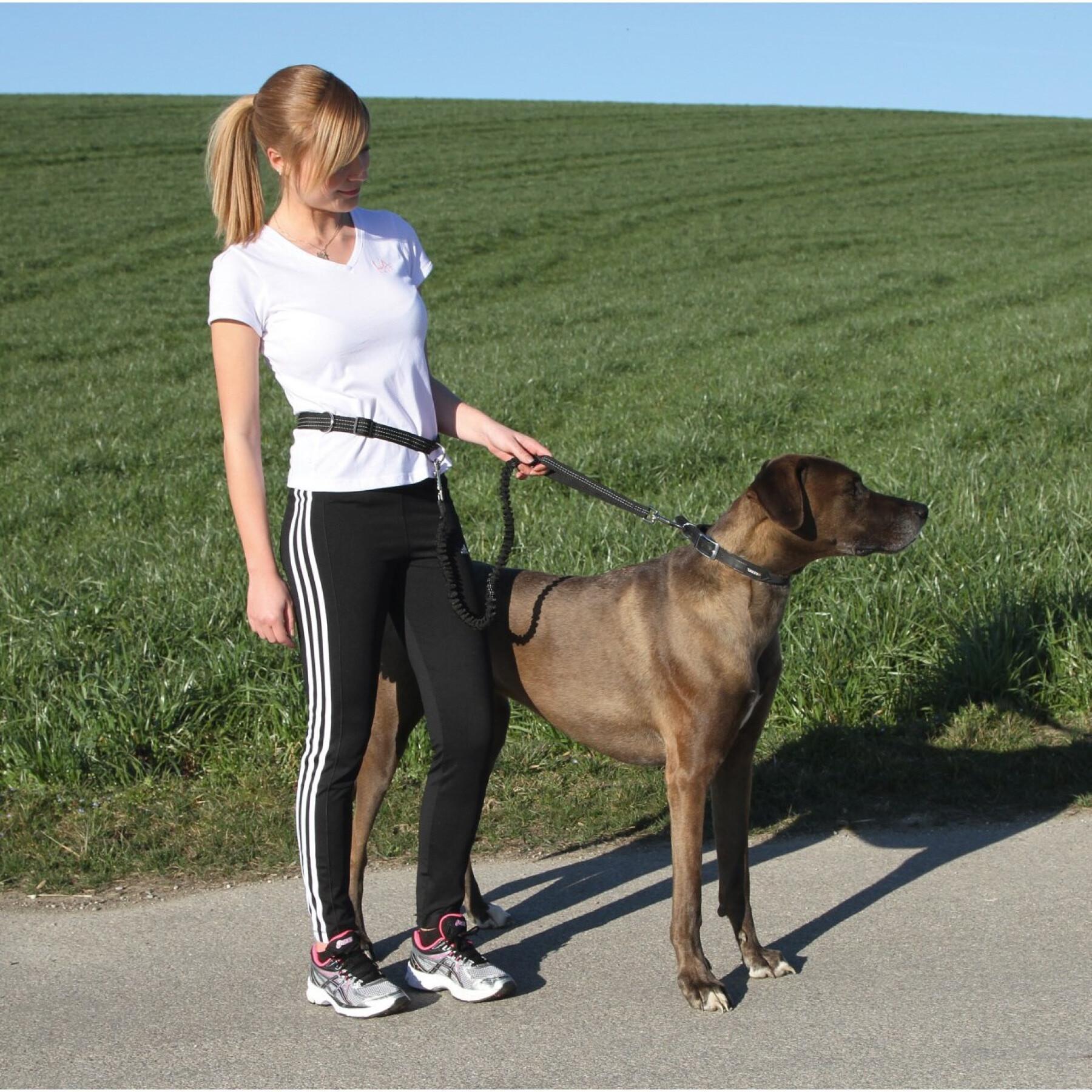 Laisse de jogging avec ceinture pour chien Kerbl
