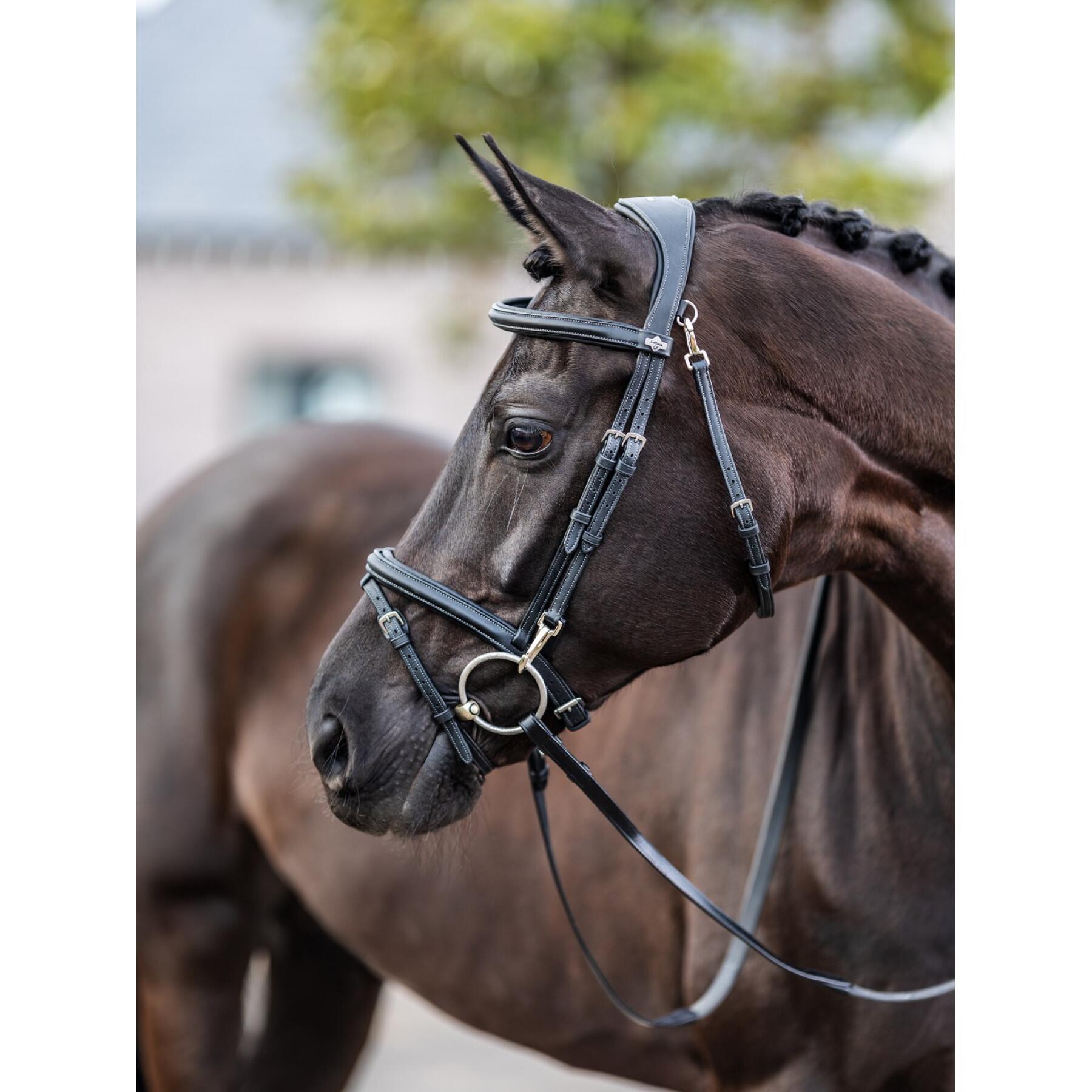 Bridon équitation pour cheval LeMieux Work