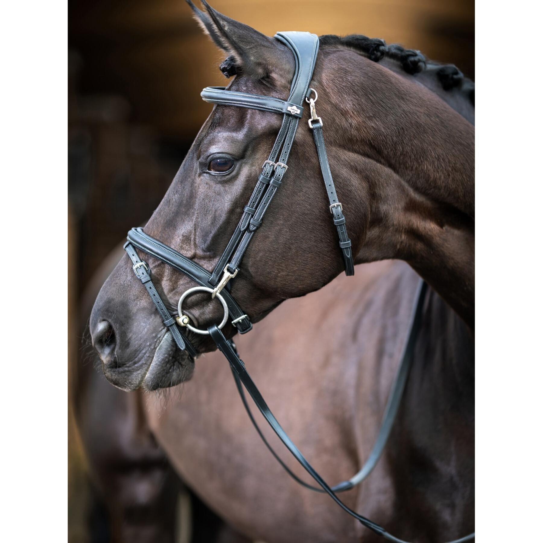 Bridon équitation pour cheval LeMieux Work
