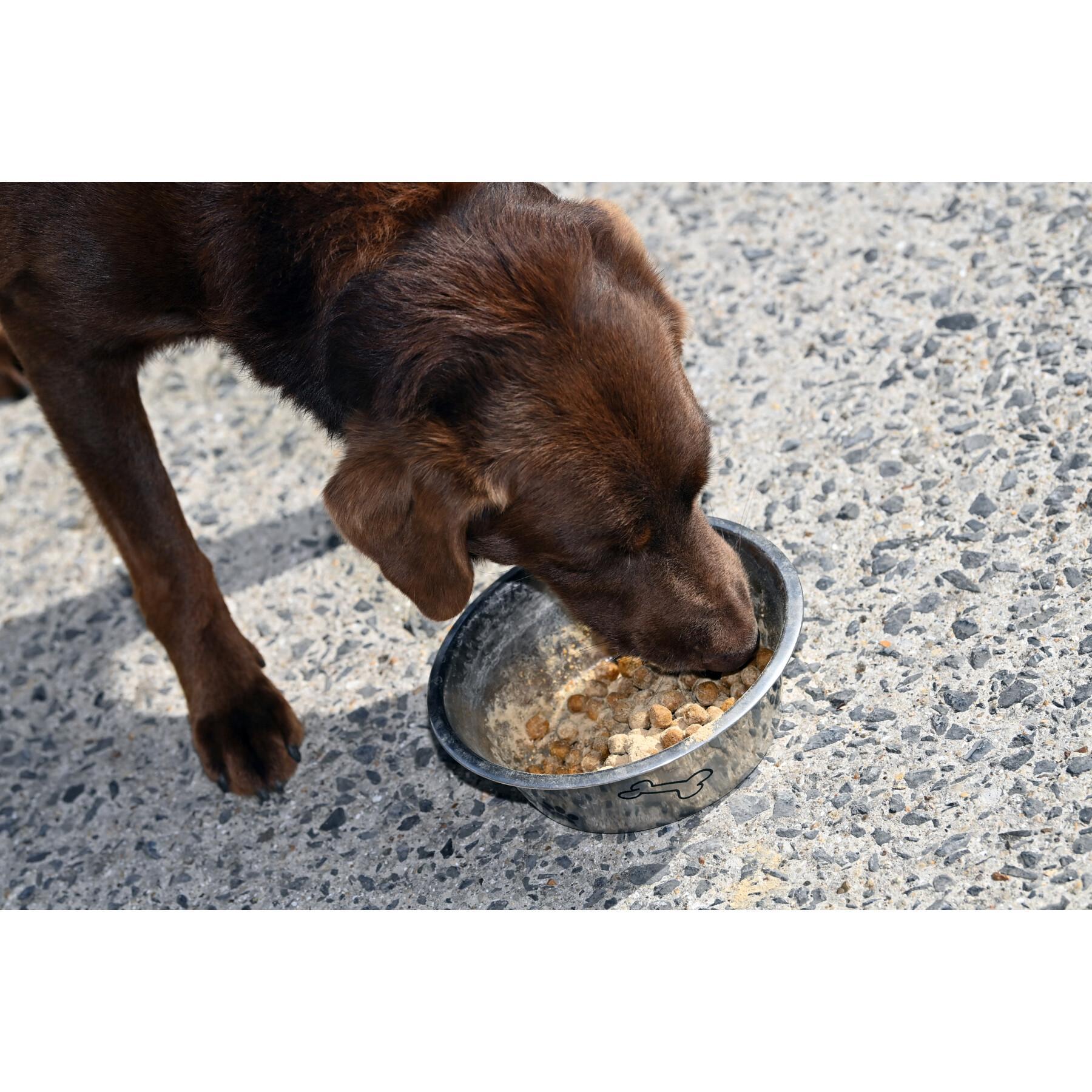 Complément alimentaire digestion pour chien Natural Innov Natural'Digest - 200 g