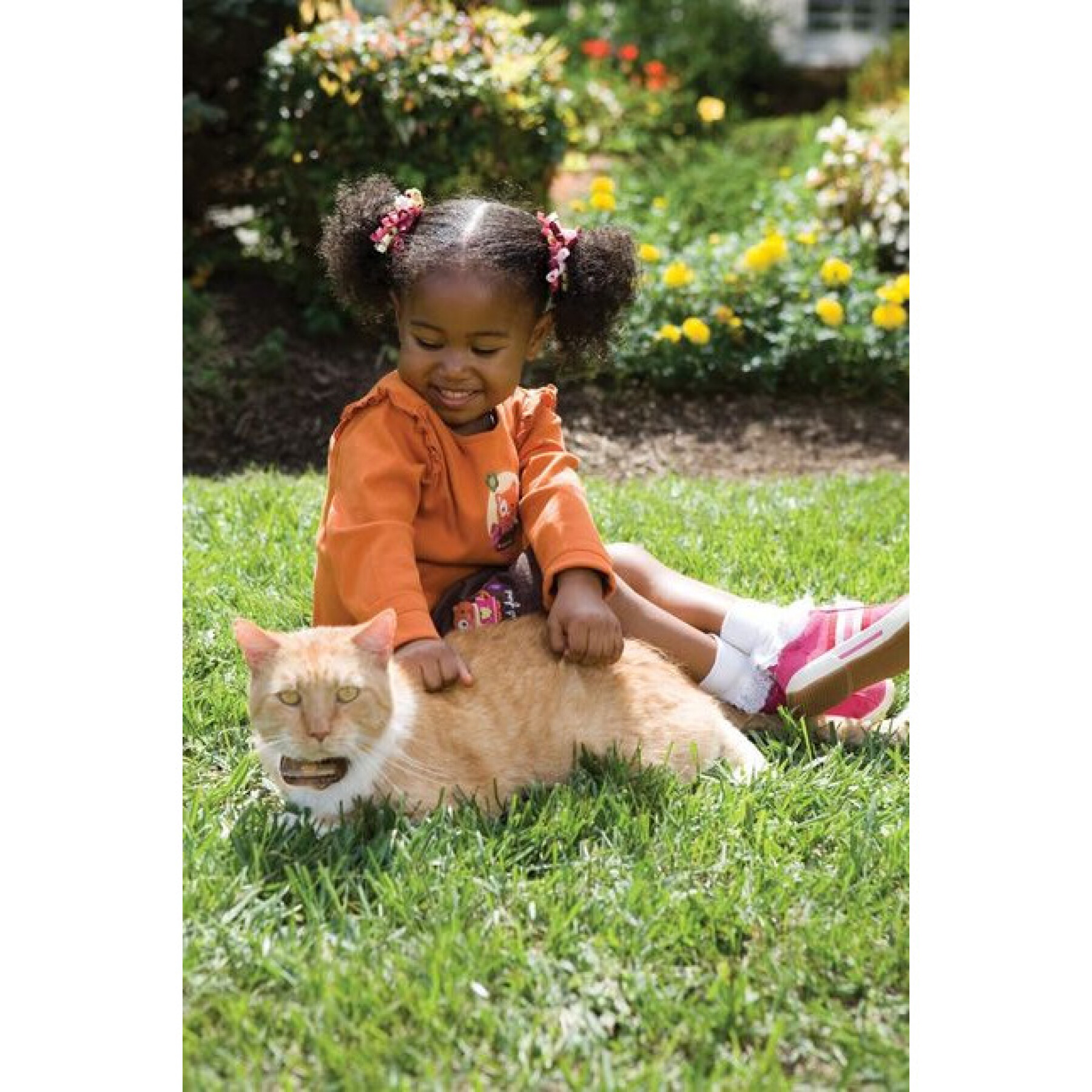 Kit de clôture anti-fugue pour chat PetSafe Premium