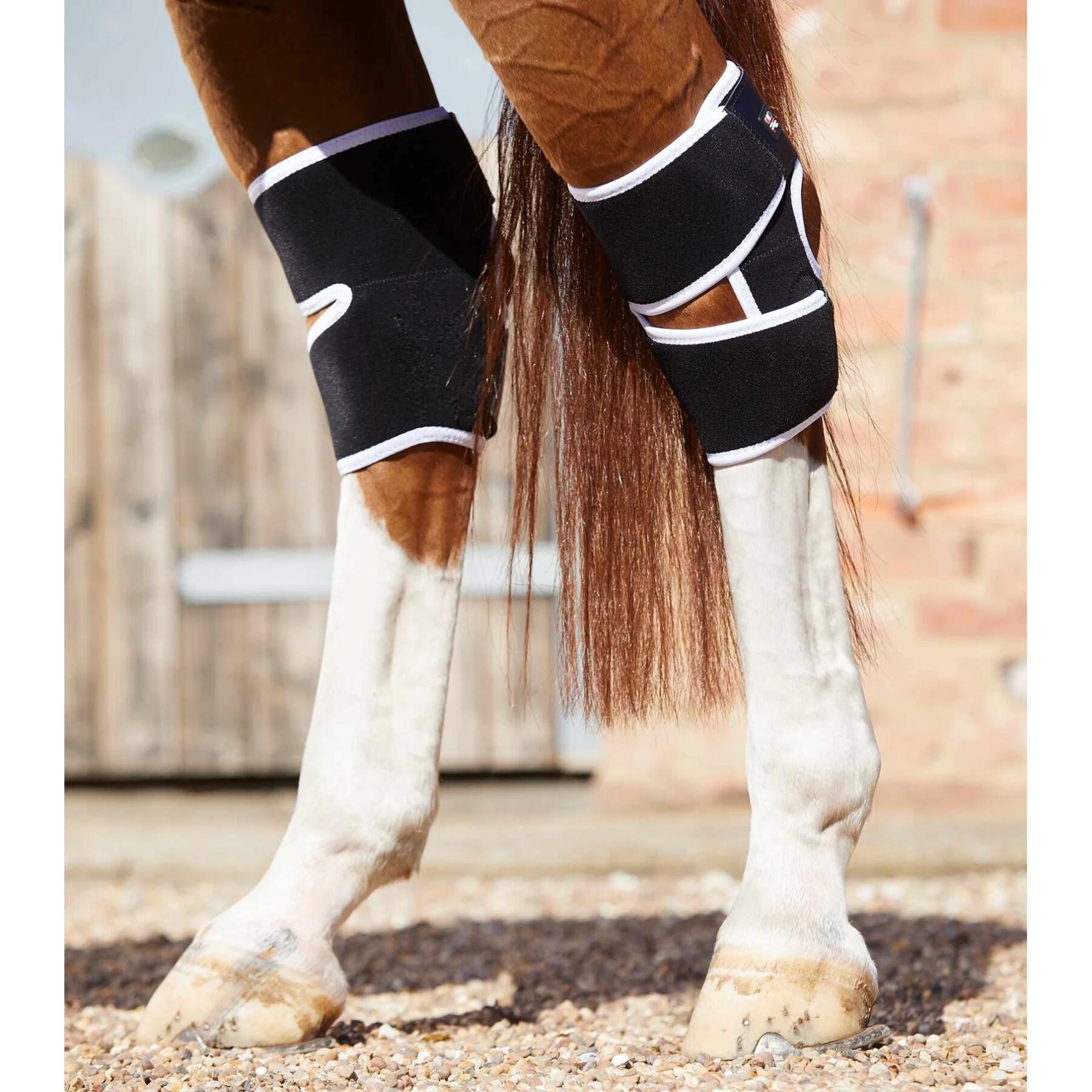 Protège-genoux magnétiques pour cheval Premier Equine Magni-Teque