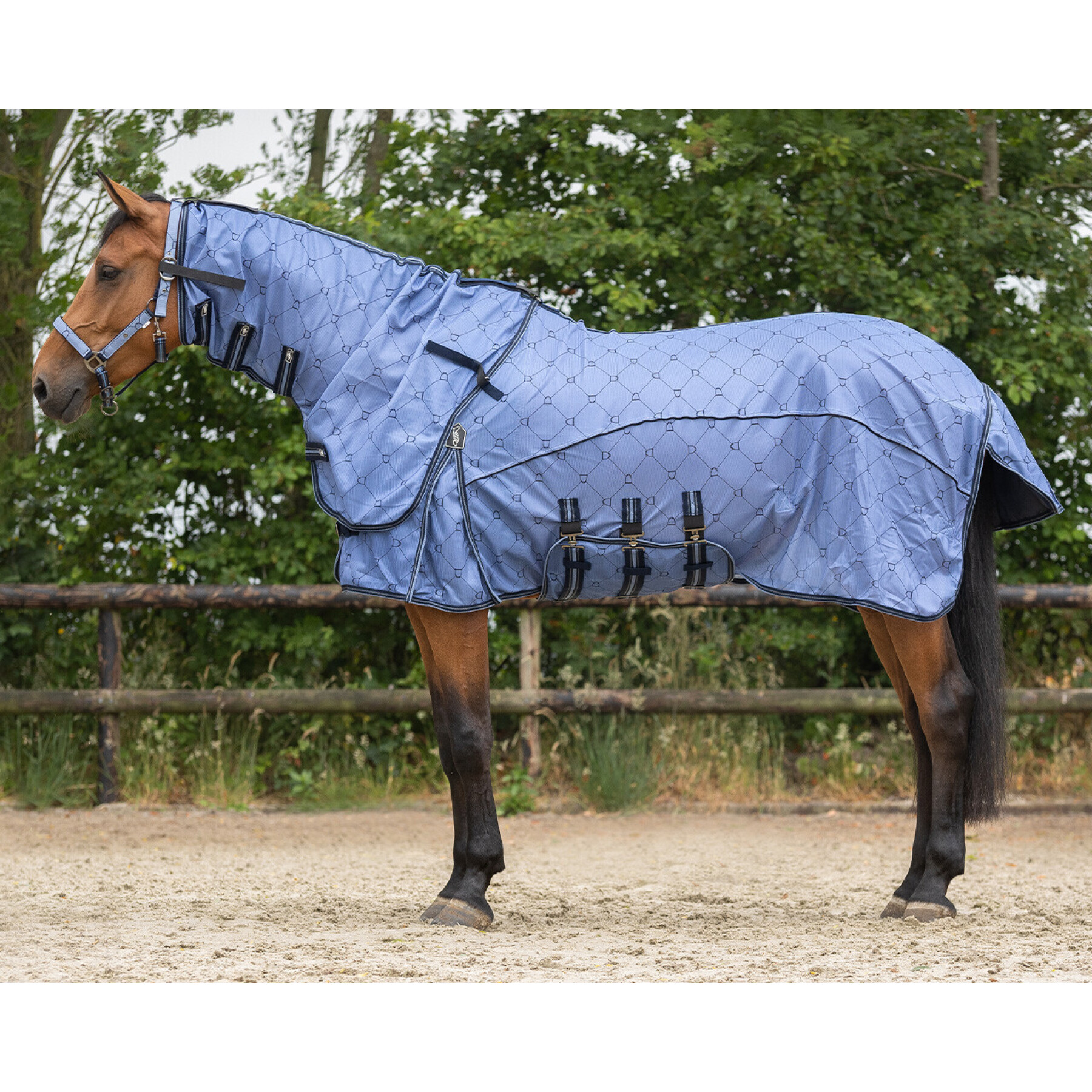 Couverture anti-mouches pour cheval avec couvre-cou QHP Collection
