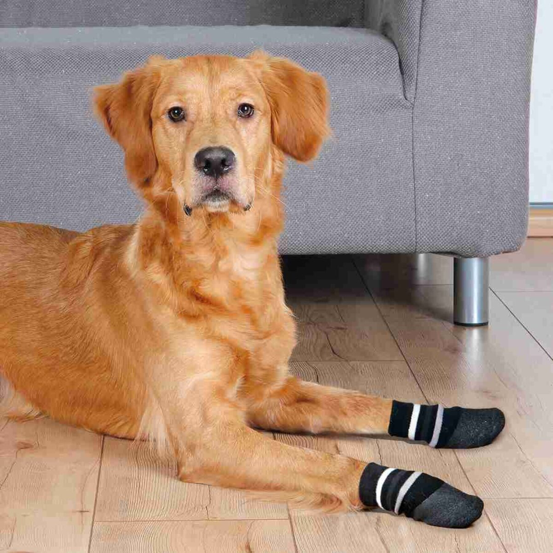 Chaussettes pour chien anti-dérapantes Trixie (x3)