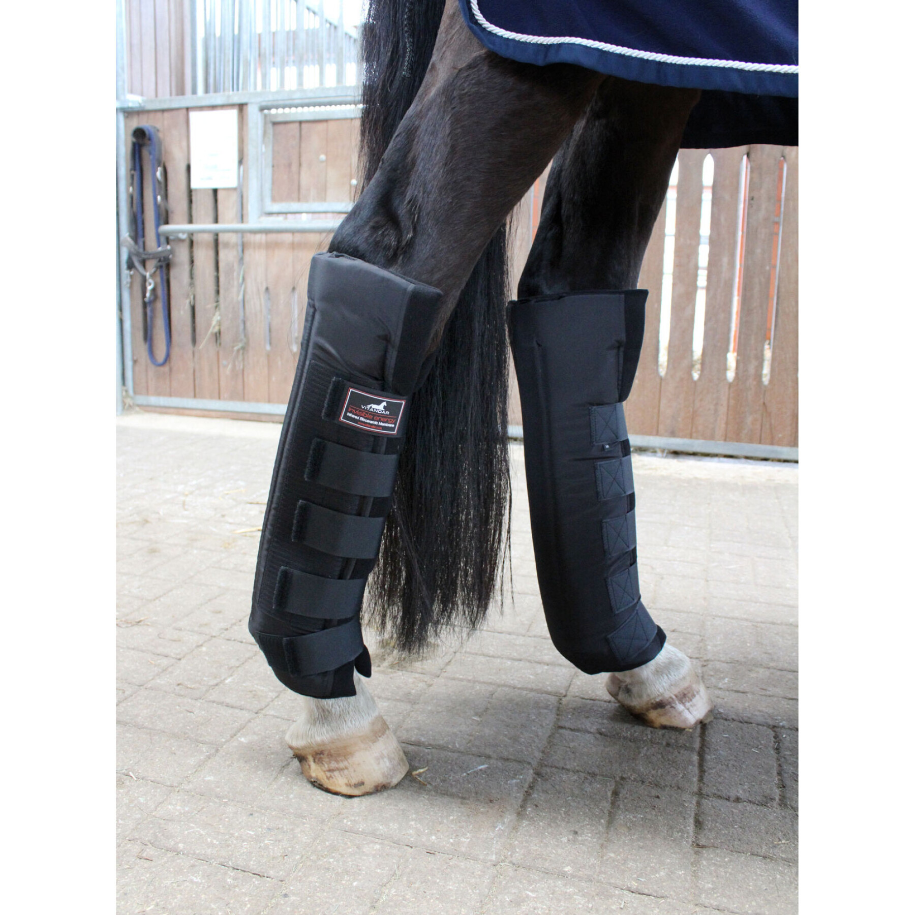 Paire de stable boots postérieurs pour cheval extra longues Vitandar