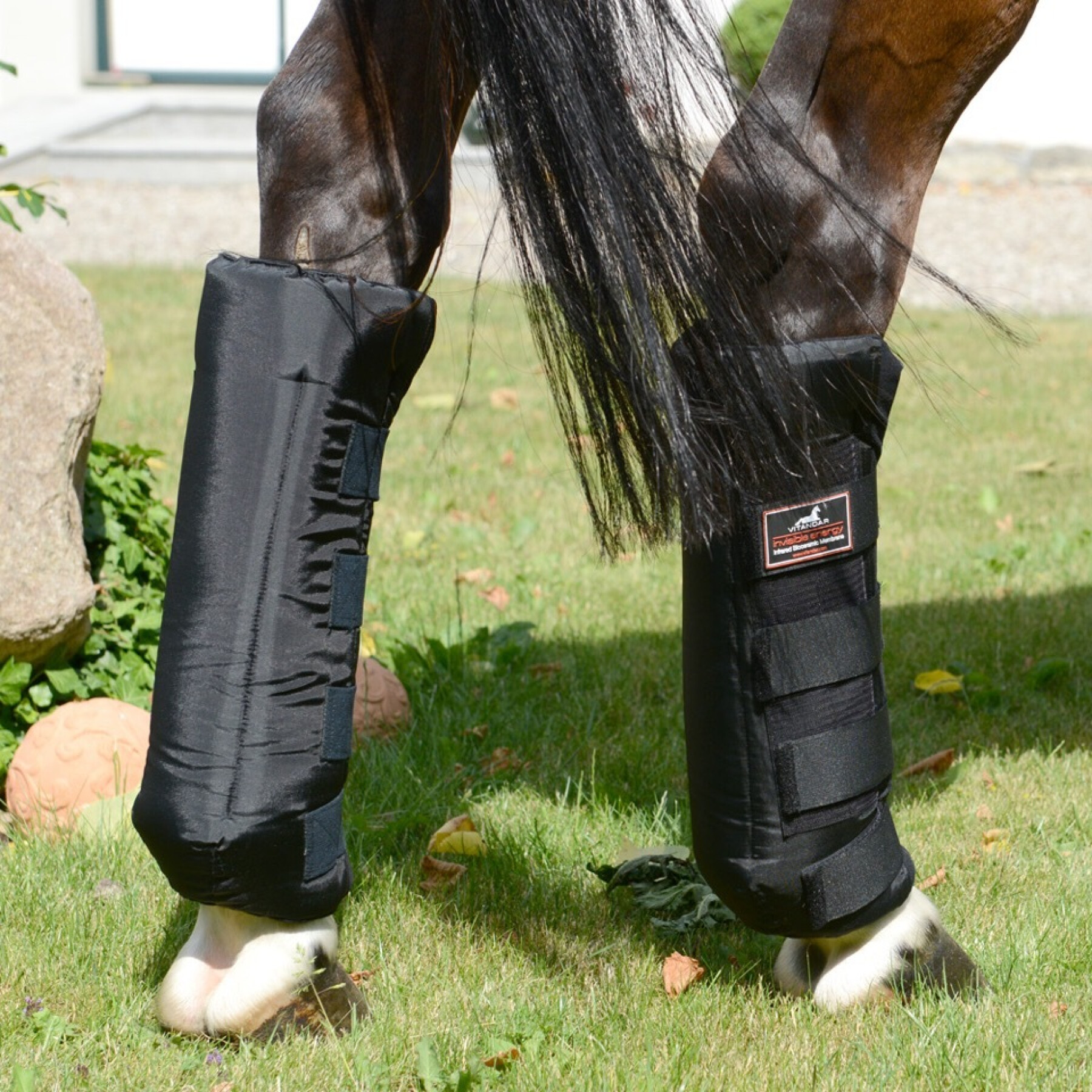 Paire de stable boots postérieurs pour cheval classiques Vitandar