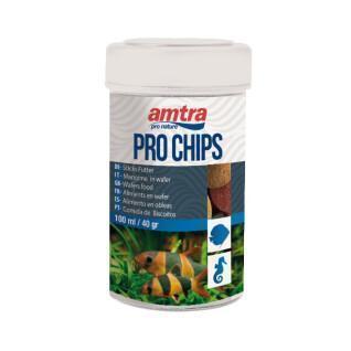 Alimentation Amtra Pro Chips