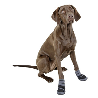 Chaussures pour chien Kerbl Active