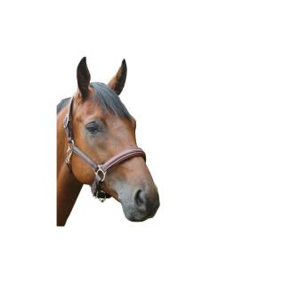 Licol pour cheval polyéthène Privilège Equitation Royan