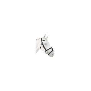 Muserolle cheval avec X-Nose Silver Crown