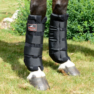 Paire de stable boots antérieurs pour cheval classiques Vitandar