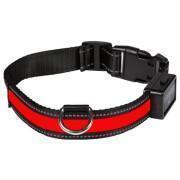 Collier pour chien lumineux rechargeable USB Eyenimal