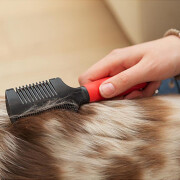 Peigne rasoir anti-puces pour chats et chiens Ferplast GRO 5991