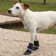 Chaussures de protection pour chien Ferplast (x2)