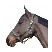 Licol pour cheval nylon/cuir Flags&Cup