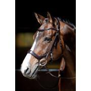 Bridons équitation pour cheval Harry's Horse Release