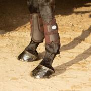 Protège-genoux pour cheval Harry's Horse Beenbeschermers Flextrainer Air mesh