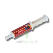 Seringue pour cheval de sport performance Horse Master Red Power Booster