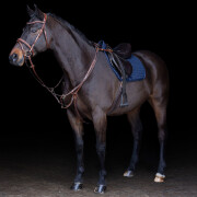 Martingale pour cheval HV Polo Legacy