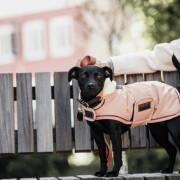 Manteau pour chien waterproof Kentucky 160g