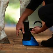 Chaussons de traitement pour sabots à problème chevaux Kerbl Tubbease