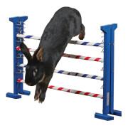 Obstacle combiné rongeurs Kerbl Agility