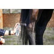 Spray au zinc pour plaie cheval Leovet