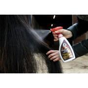 Spray démêlant pour cheval Leovet Power Noix