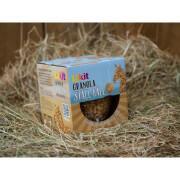 Friandise pour cheval Likit Stall Ball
