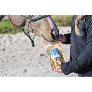 Crackers pour cheval locomotion Curcuma Natural Innov Natural'Crackers Moov - 300 g