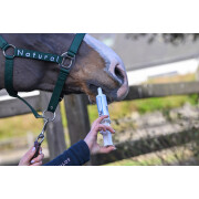 Complément alimentaire parasitisme intestinal pour cheval Natural Innov Protect
