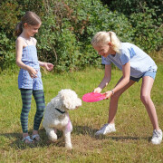 Frisbees en TPR pour chien Nobby Pet Paw