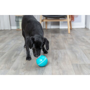 Balle pour chien en plastique Trixie (x2)